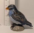 Rhinoceros Auklet Sculpture