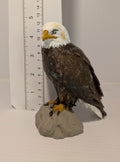 Bald Eagle Sculpture