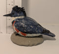 Belted Kingfisher Sculpture