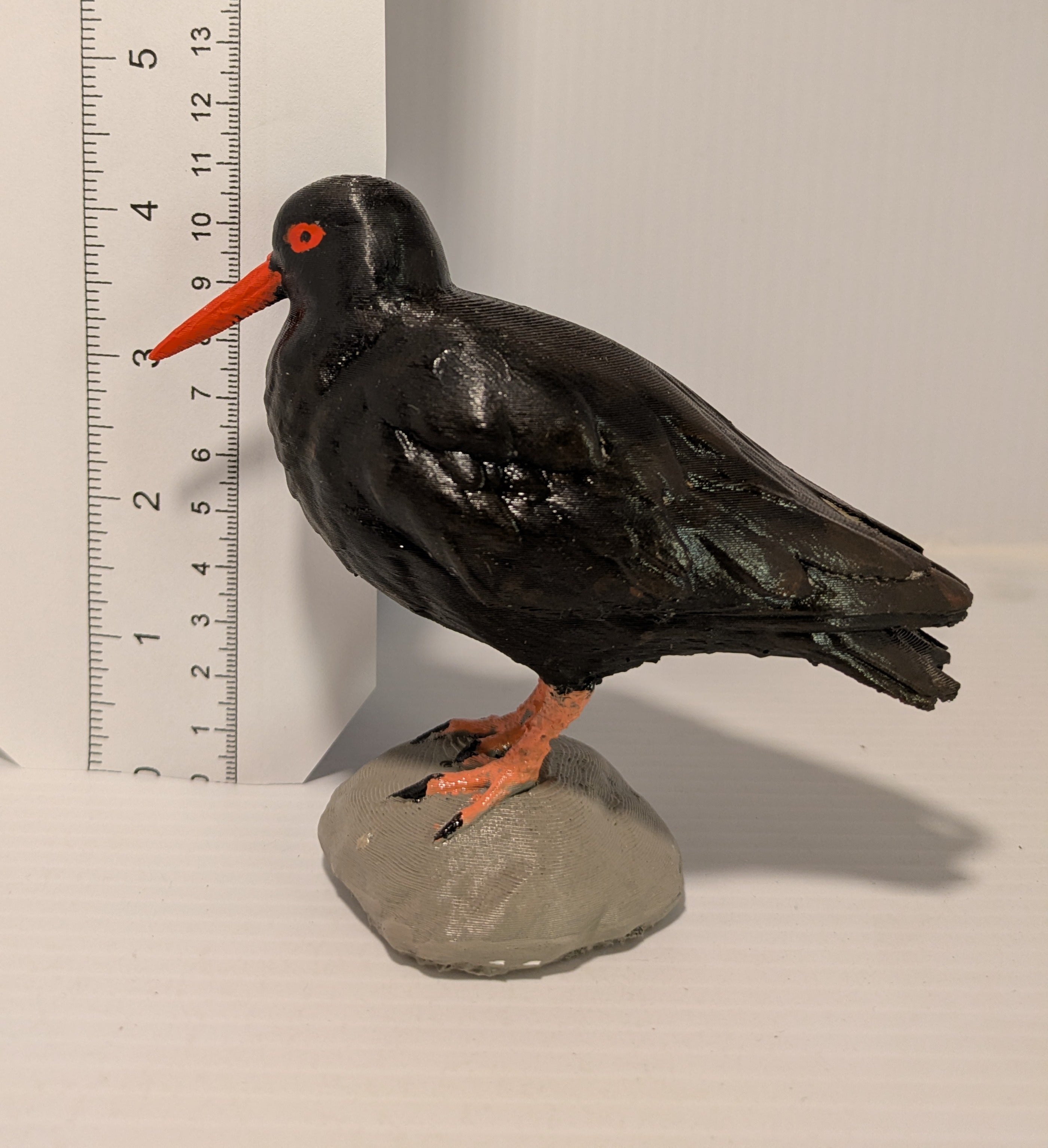 Black Oystercatcher Sculpture