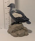 Pigeon Guillemot Sculpture