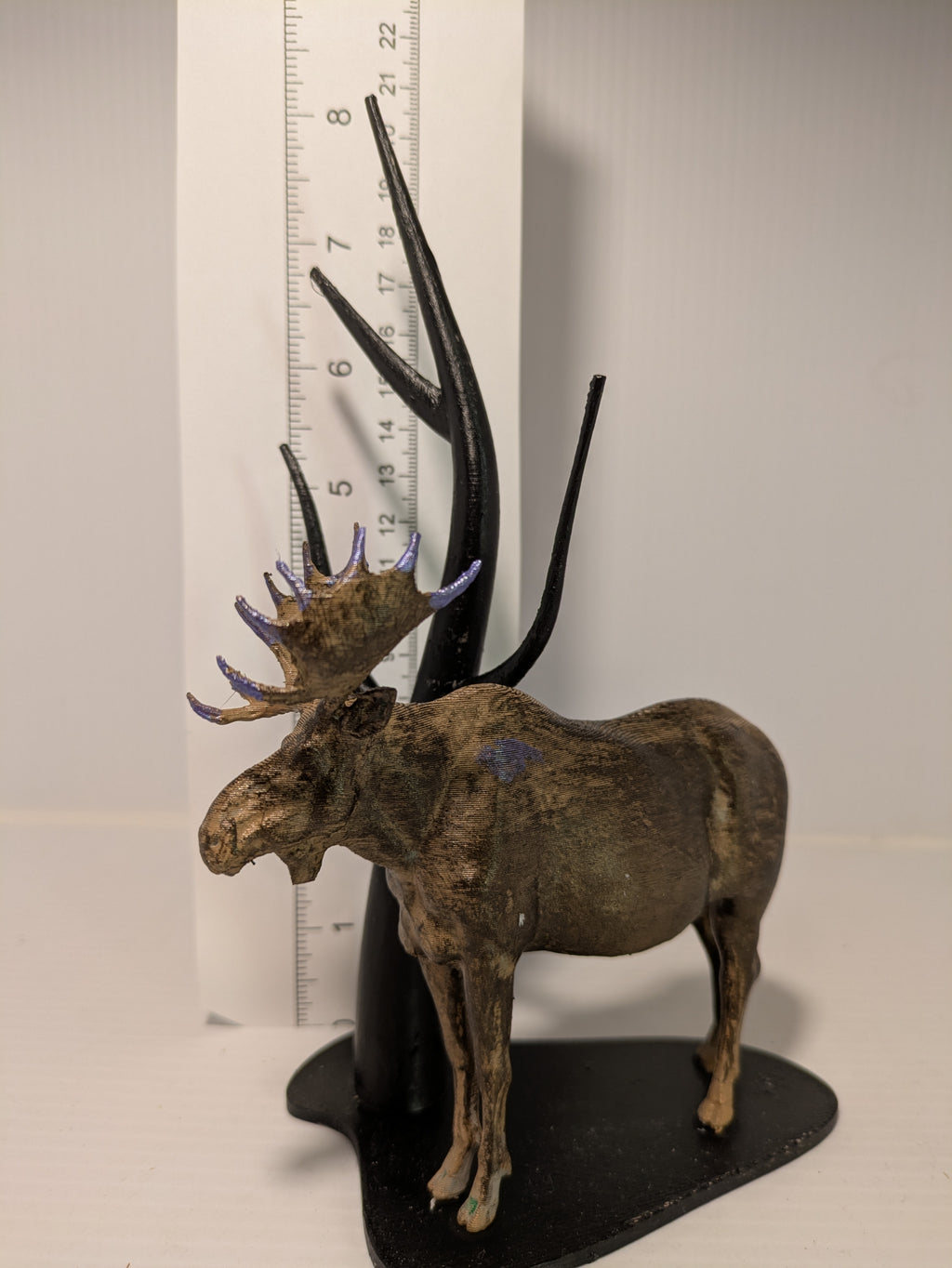 Model of a moose with large antlers next to a ruler for scale on a plain background