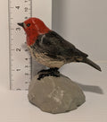 Red‑breasted Sapsucker Sculpture