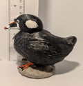 Surf Scoter Sculpture
