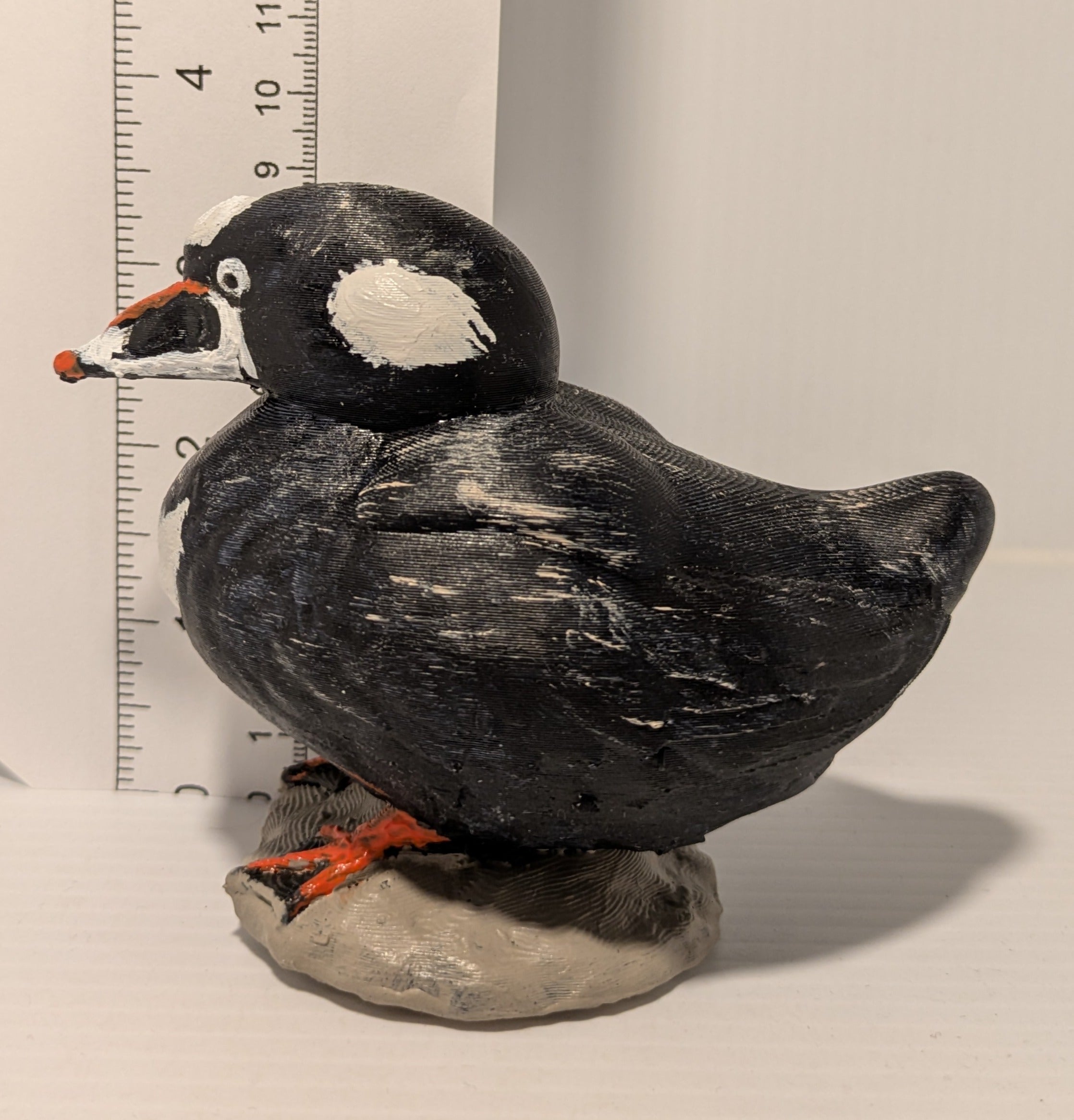 Surf Scoter Sculpture
